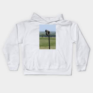 Boot on a Fence Post Kids Hoodie